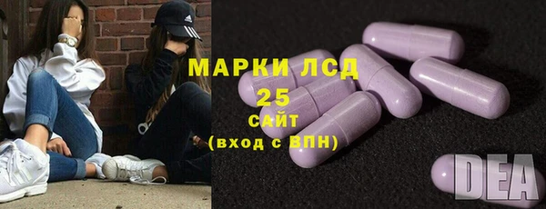 хмурый Алзамай