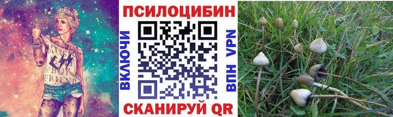 Псилоцибиновые грибы Psilocybine cubensis  Купить закладки  Барнаул 